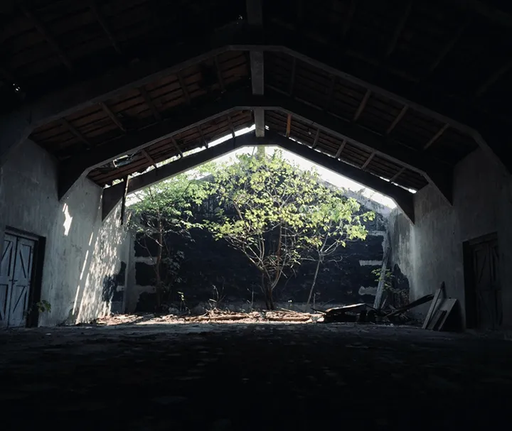 CirCurate 提供展覽規劃與合作、藝文與教育活動設計,以及社區共創參與等服務,致力於讓藝術走入日常、與人產生連結。CirCurate offers services like exhibition planning and collaborations, designing arts, education activities, and facilitating community co-creation. We're dedicated to helping art become a part of everyday life and truly connect with people.