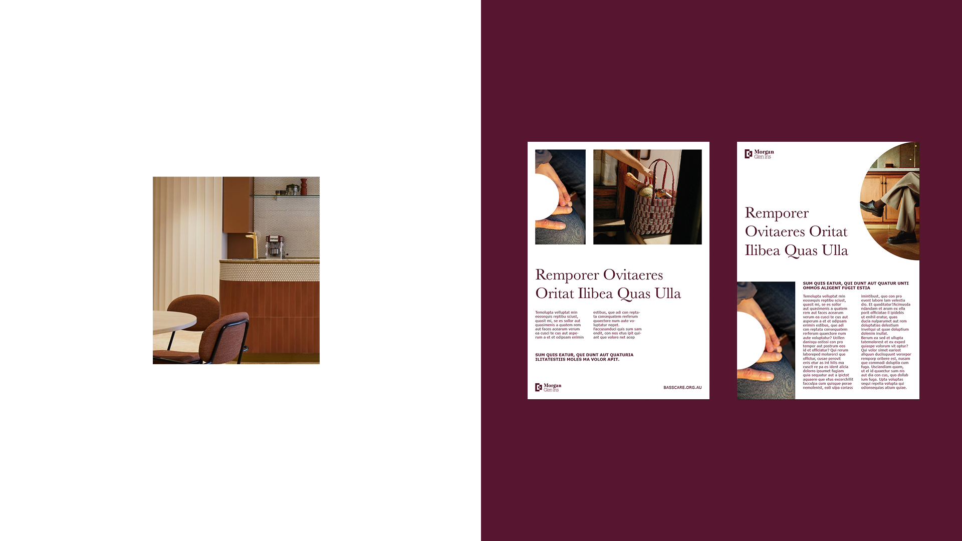 basscare brand posters next to an image taken in the parlour of one of basscare's services. 