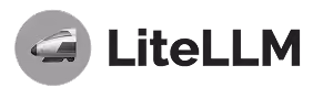 lite LLM