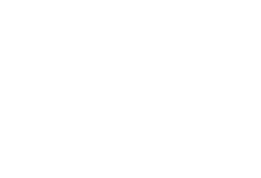 Fontanel logo