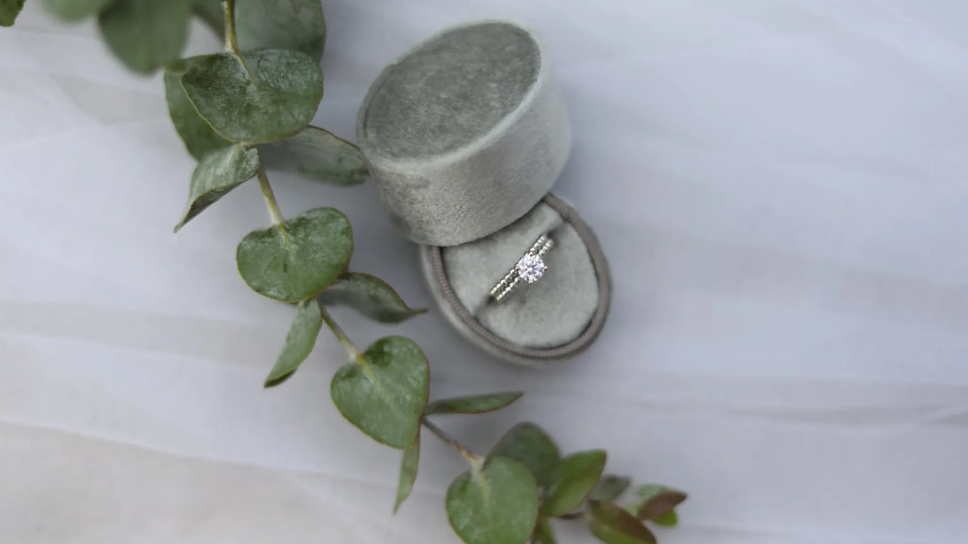 Diamond engagement ring in an open gray velvet ring box with eucalyptus leaves next to it.