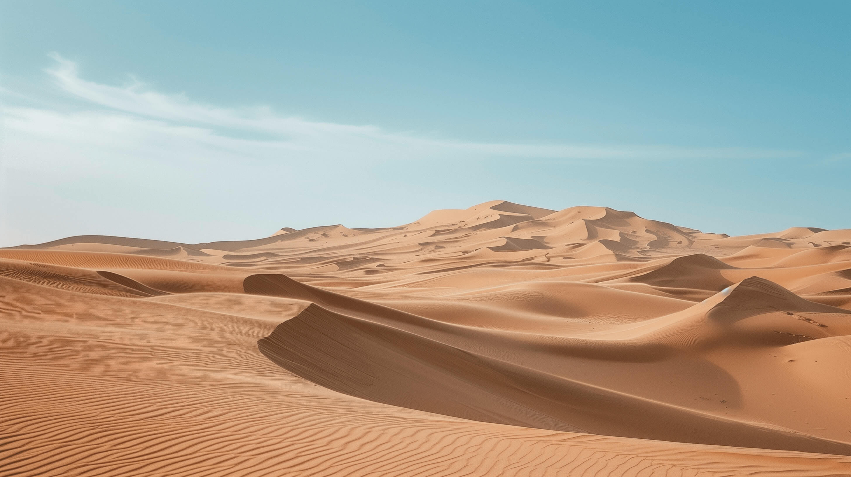 A group of sand dunes in the desert.