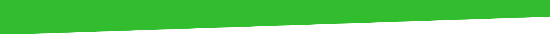 section border