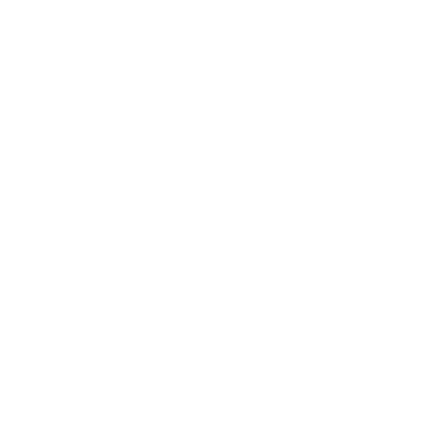 White Magnify Icon
