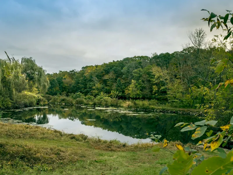 Nature Reserve
