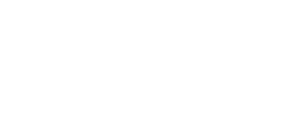 Local surveyors direct white logo 