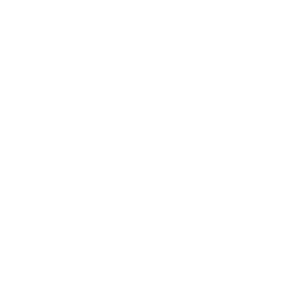 Bat Surveys Icon