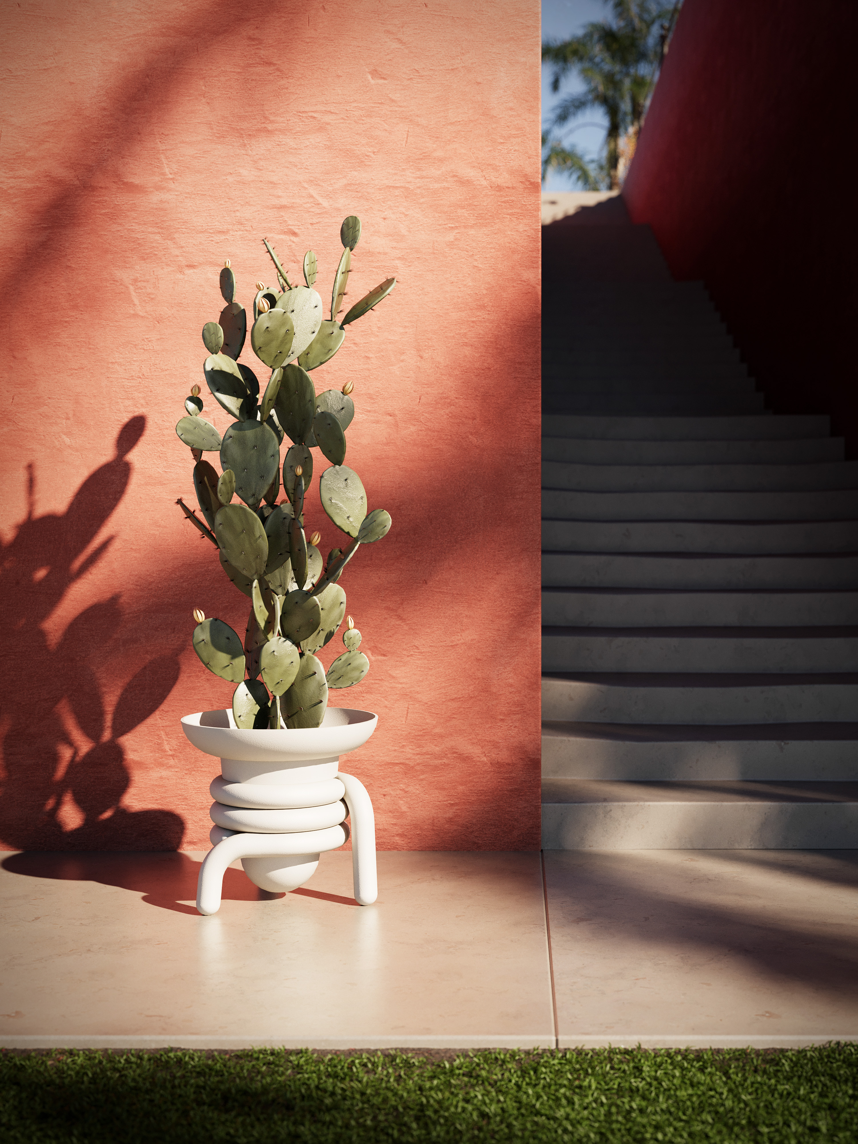 White Jill with a cactus beside a terracotta wall and shaded stairs