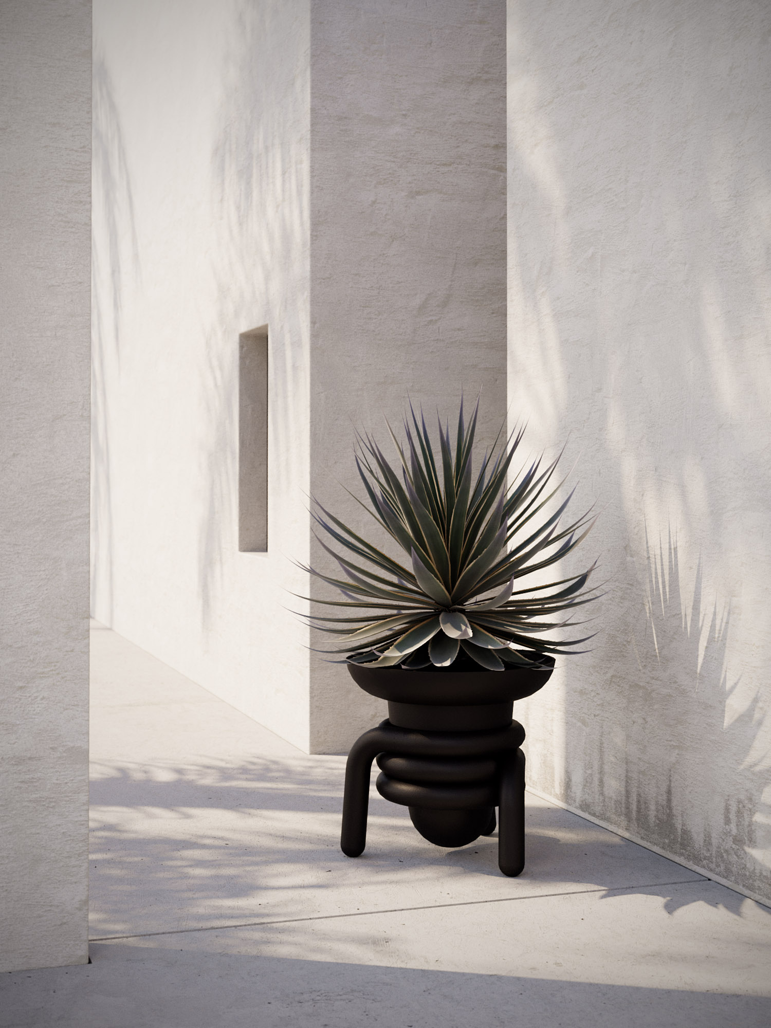 Black Jill with an agave in a pale architectural space