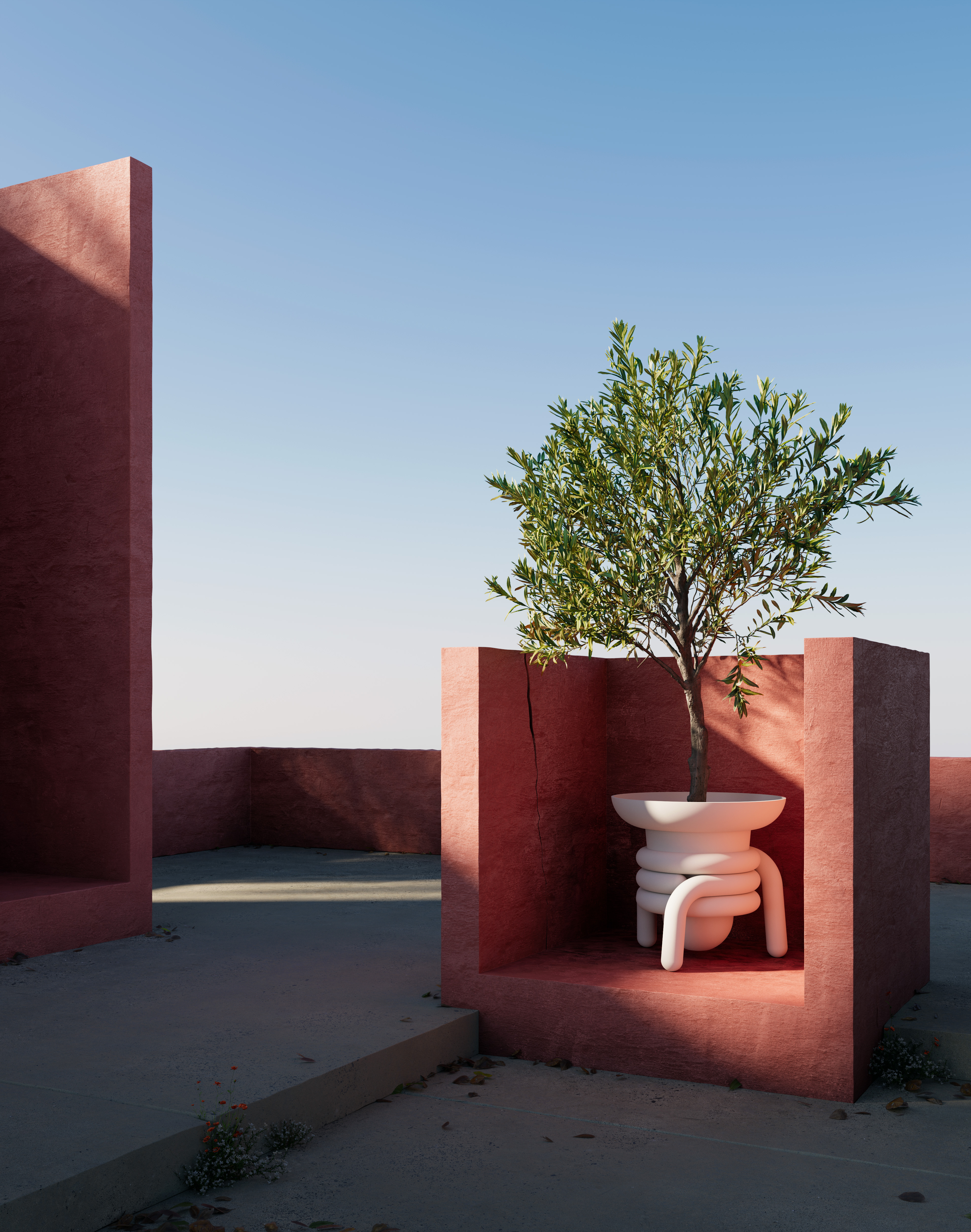 White Jill with an olive tree among terracotta walls on a rooftop