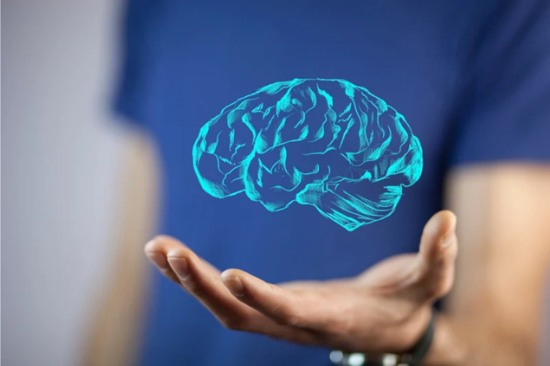 Are Over-the-Counter Drugs Harming Your Brain? A Wake-Up Call for the Health-Conscious