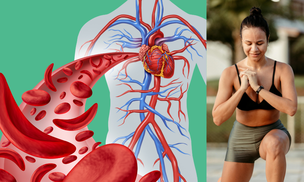 Functional Fitness for Brain Health & Longevity