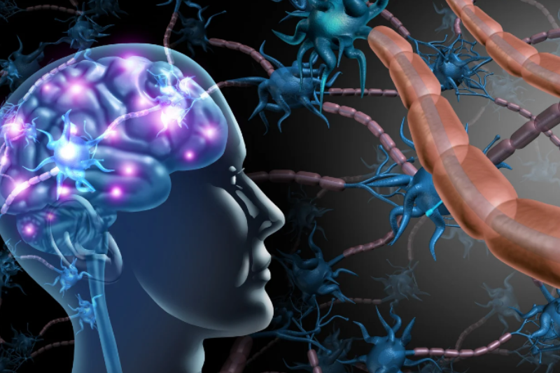 Guarding Your Brain: 10 Strategies to Protect Your Vascular Health