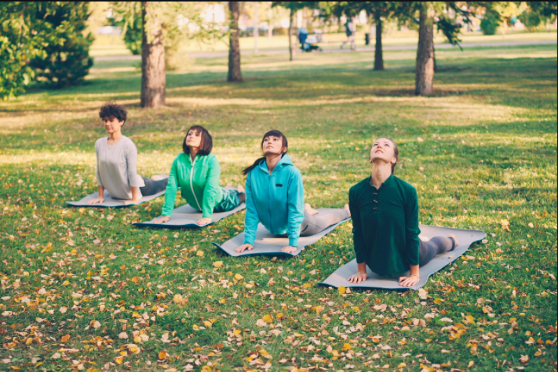 Flourish: An Invitation Into a Sacred Pause