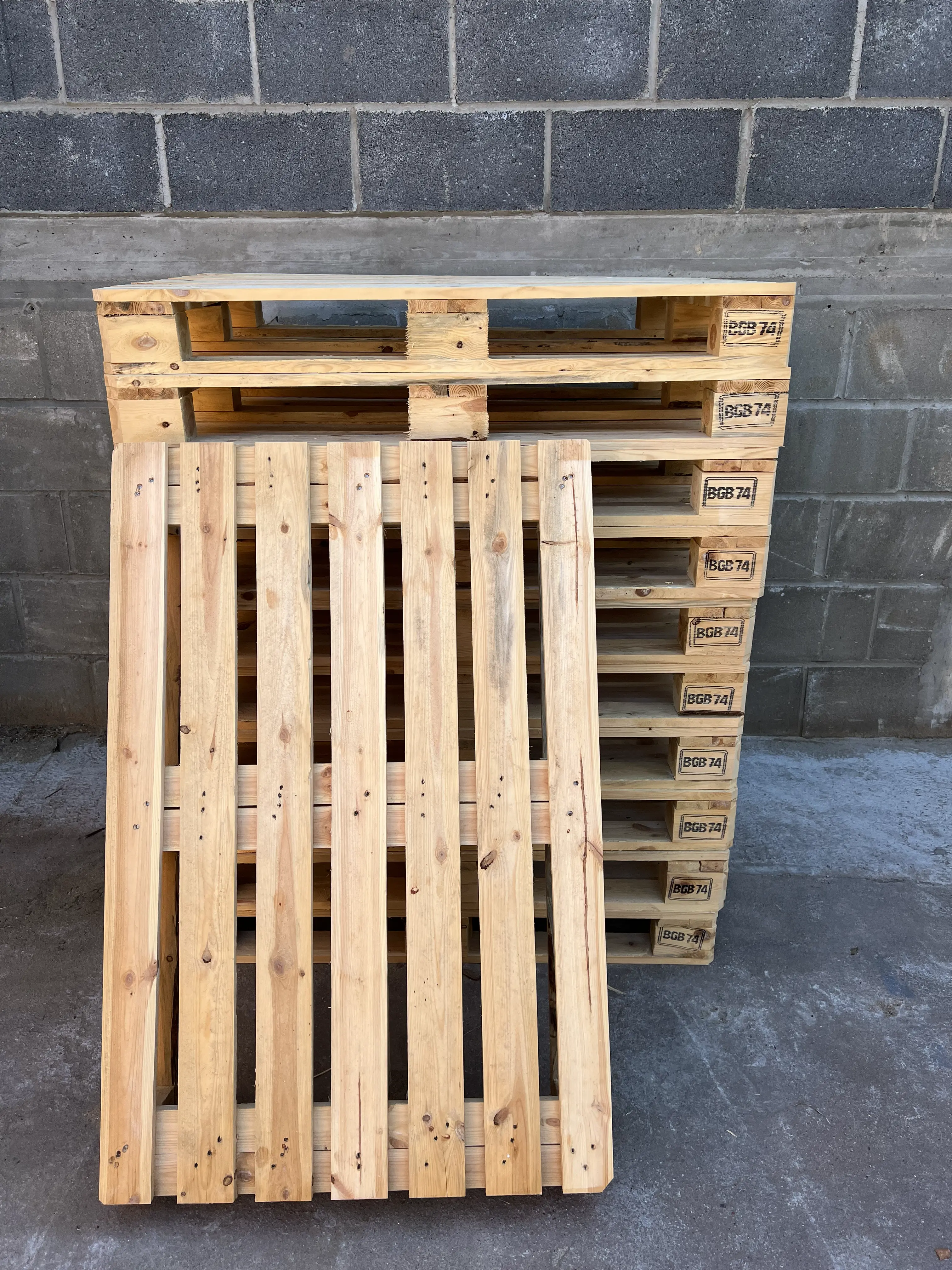 Paleta standard, kategoria 1, 1200x800mm, przód