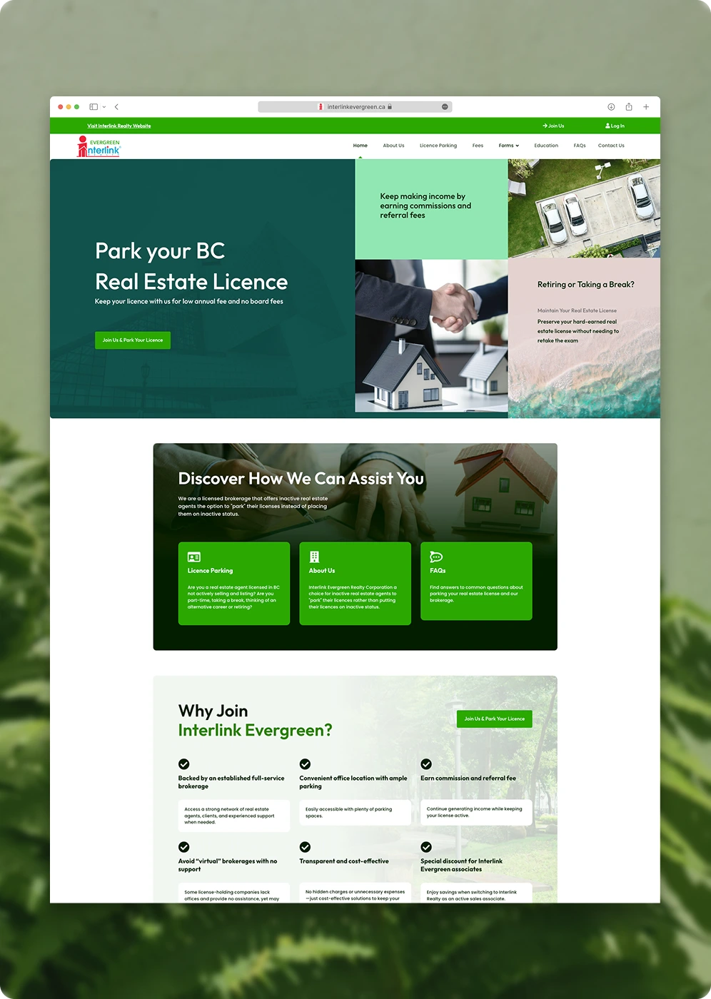 Interlink Evergreen