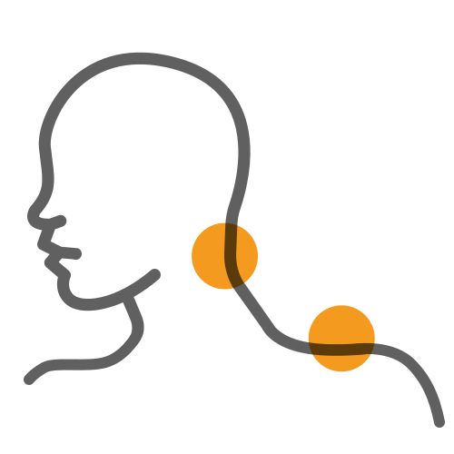 Outline of a side view of a human head, neck, and shoulder with two orange dots highlighting the neck and shoulder area.