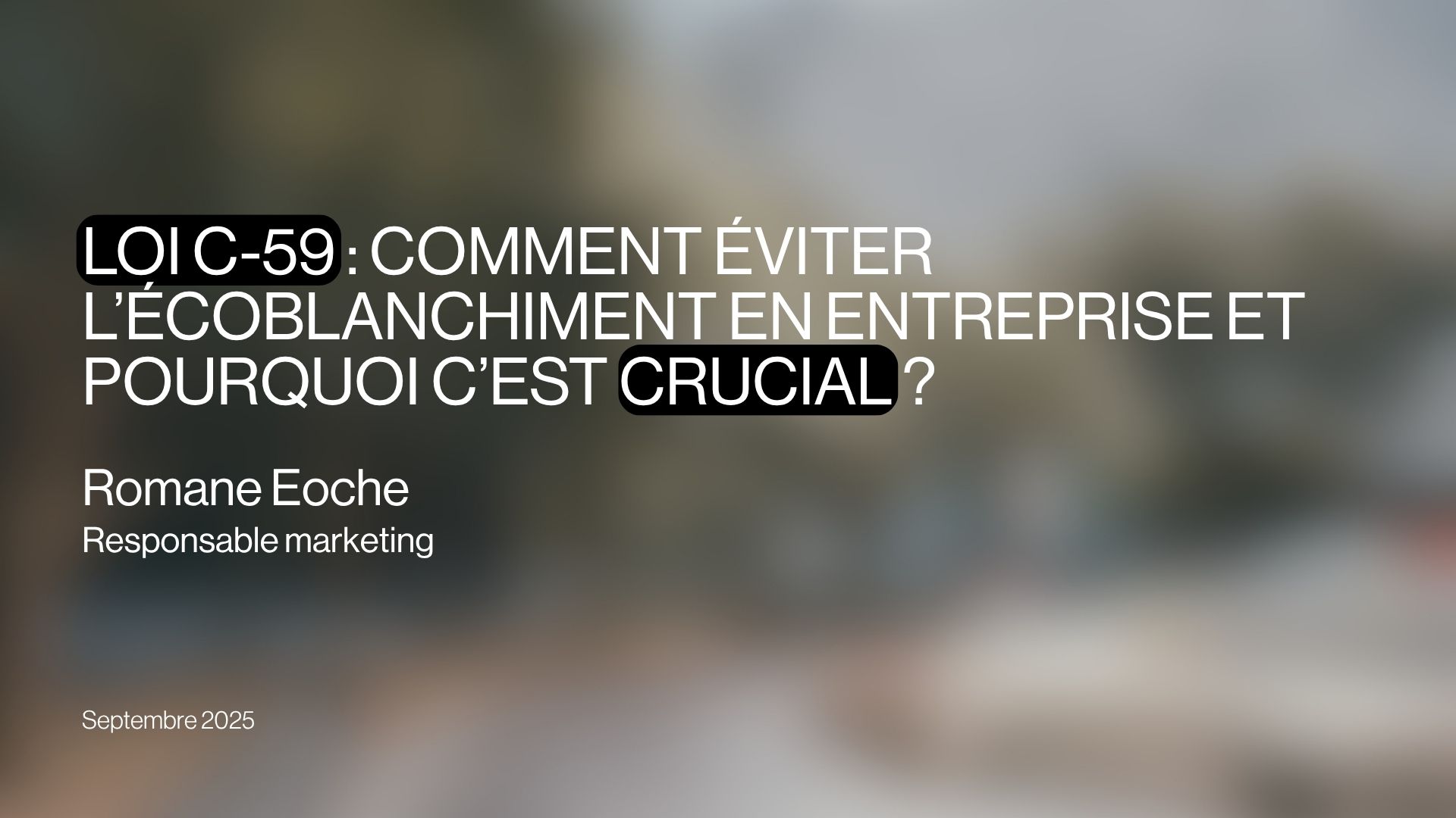 loi-c-59-eviter-lecoblanchiment-en-entreprise