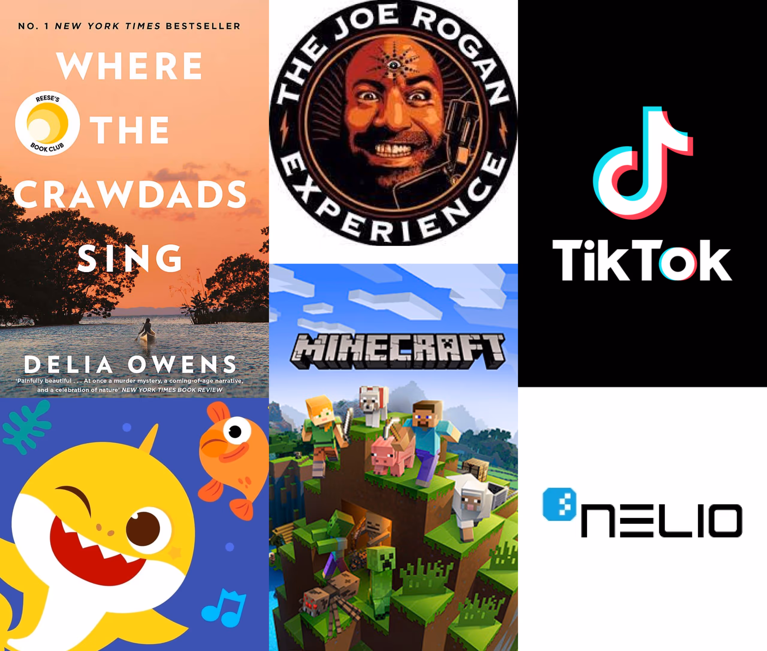 Examples of popular digital products