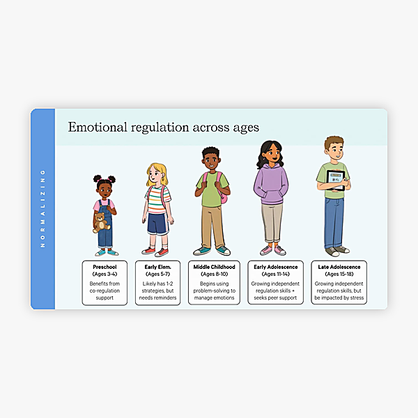 Supporting Emotional Regulation in the Classroom