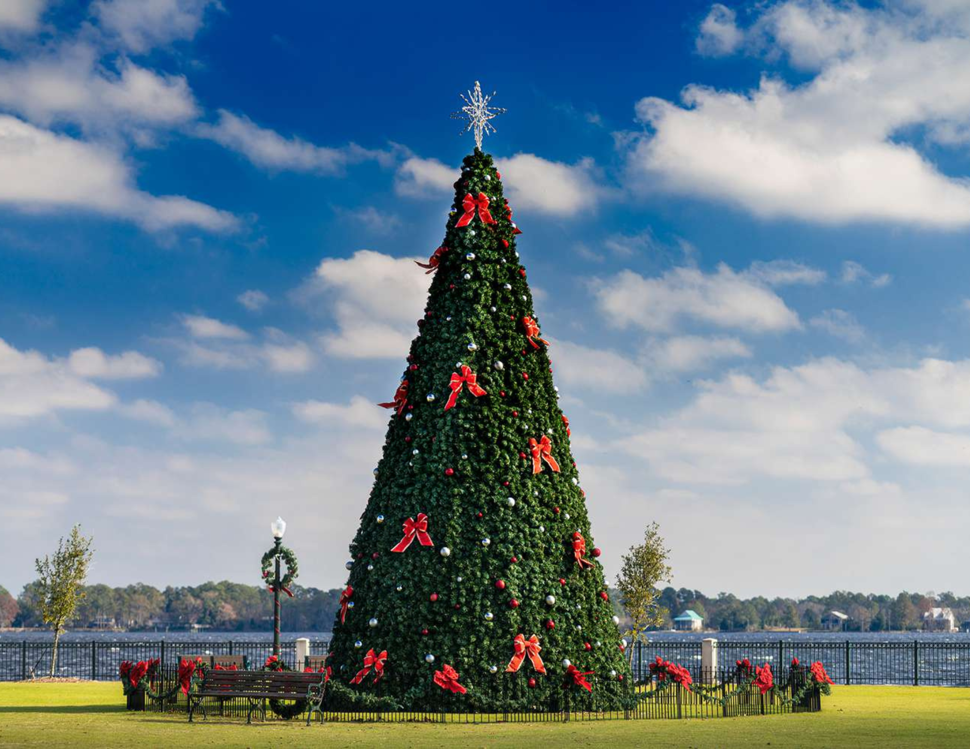 Celebrate December in New Bern: Your Guide to Holiday Events