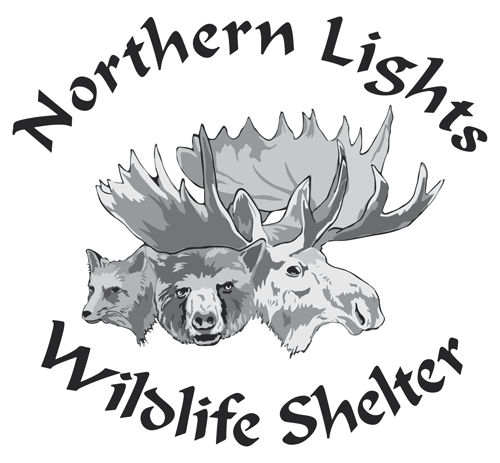Northern Lights Wildlife Society logo.