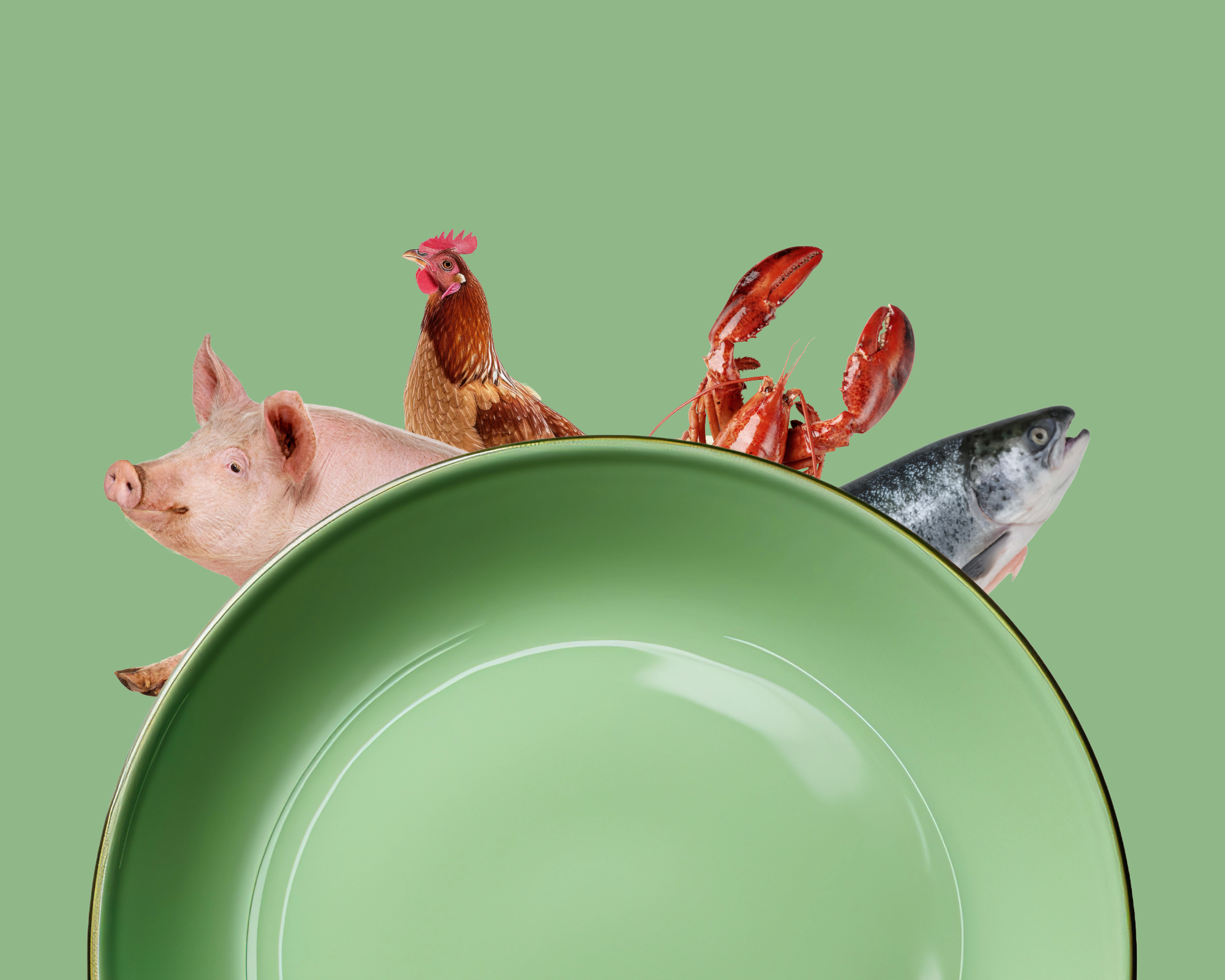 What is Kosher? A Beginner’s Guide to Kosher Food