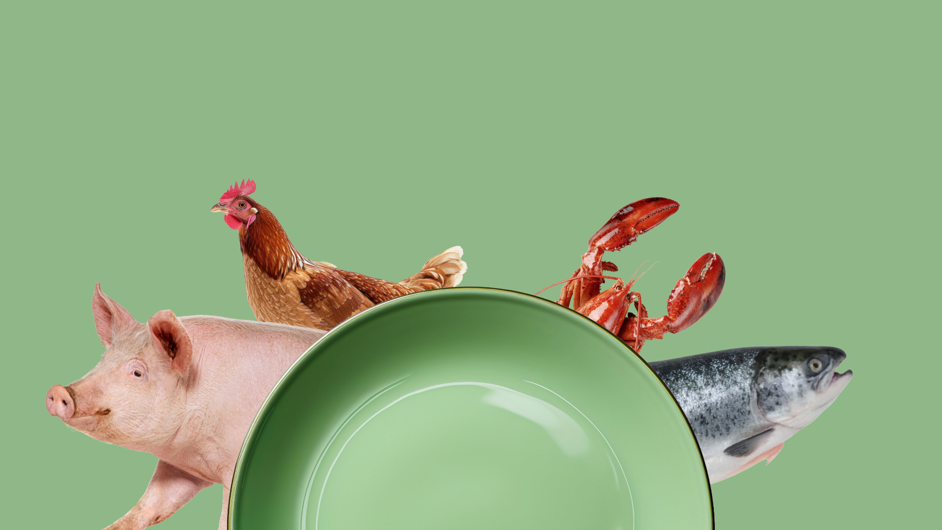 What is Kosher? A Beginner’s Guide to Kosher Food