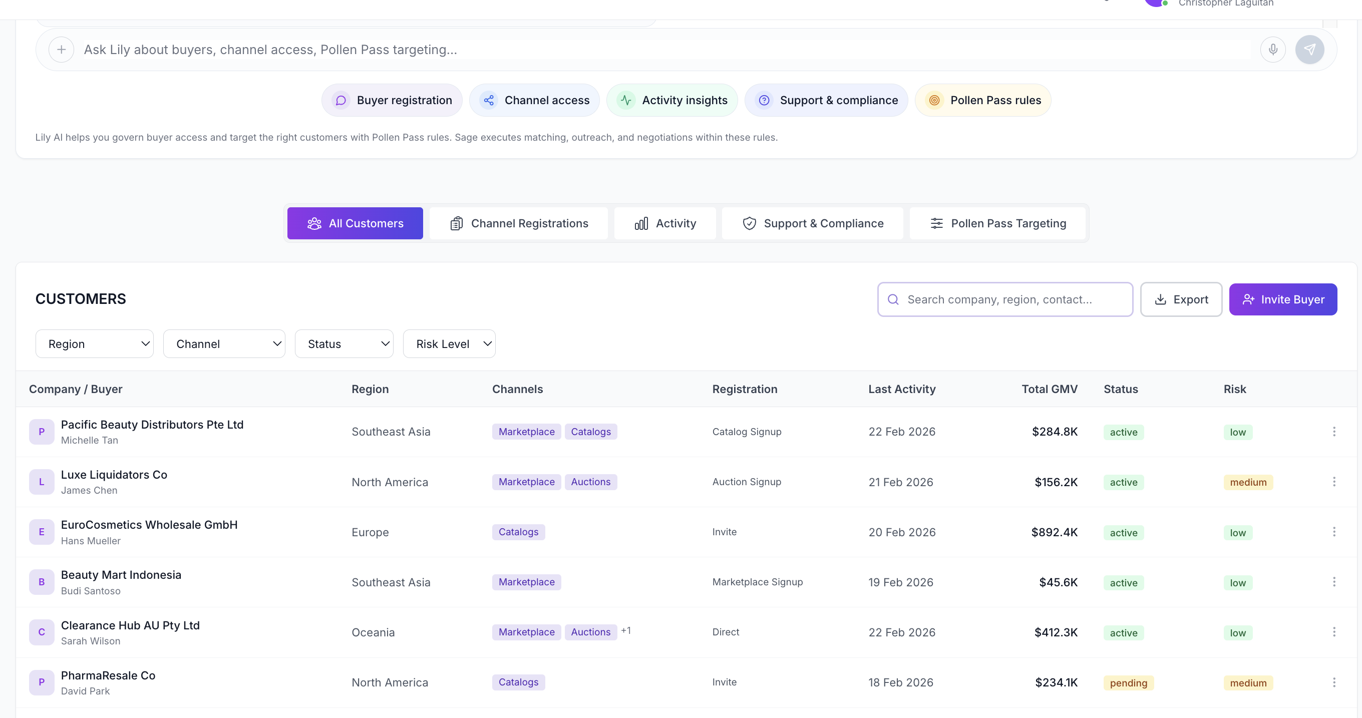 Dashboard showing customer list with regions, channels, registration, last activity, GMV, status, and risk levels.