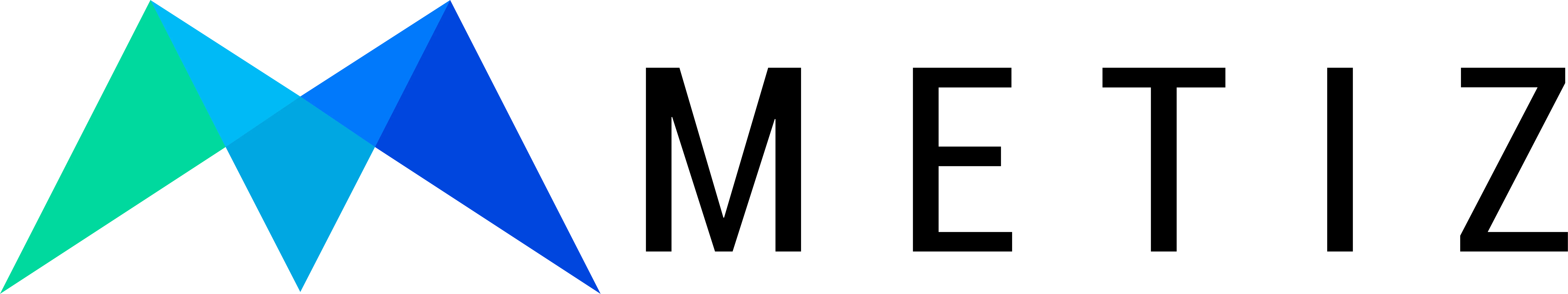 Metiz black logo