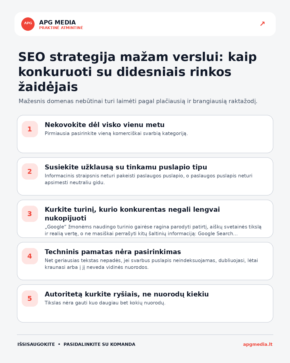 Infografika: SEO strategija mažam verslui: kaip konkuruoti su didesniais rinkos žaidėjais