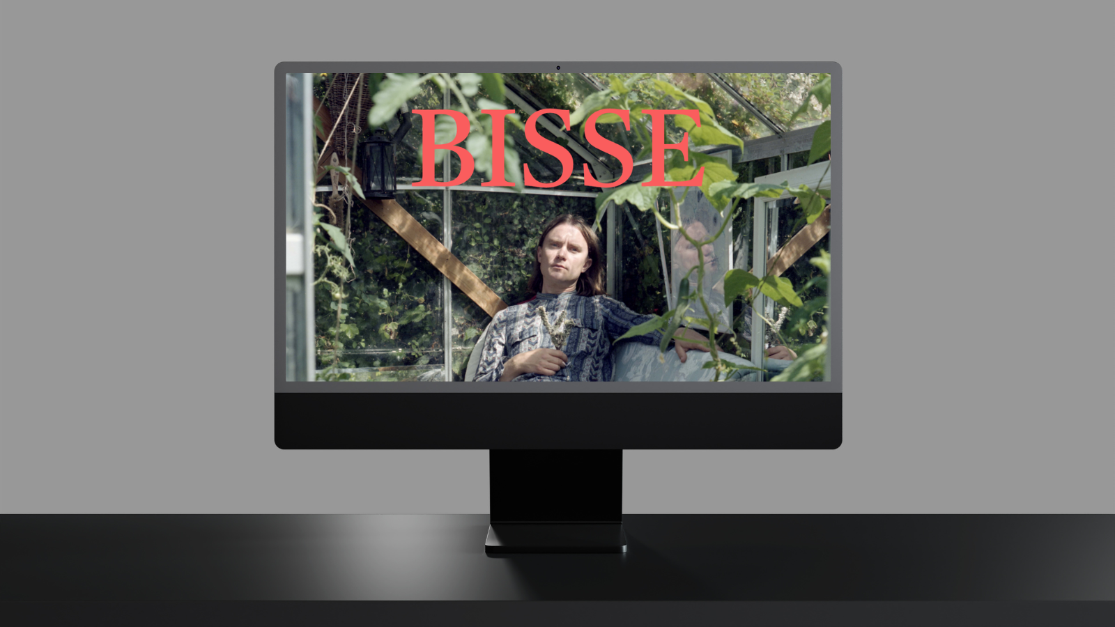 Screenshot of Bisse website