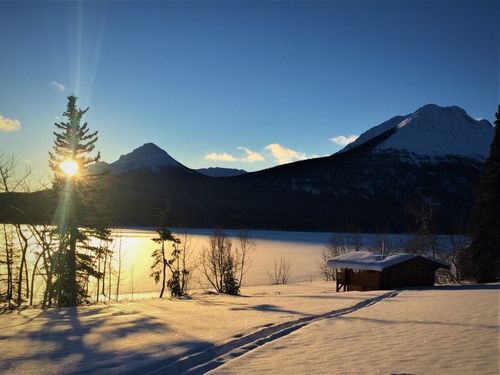 A beautiful winter view in the Yukon.