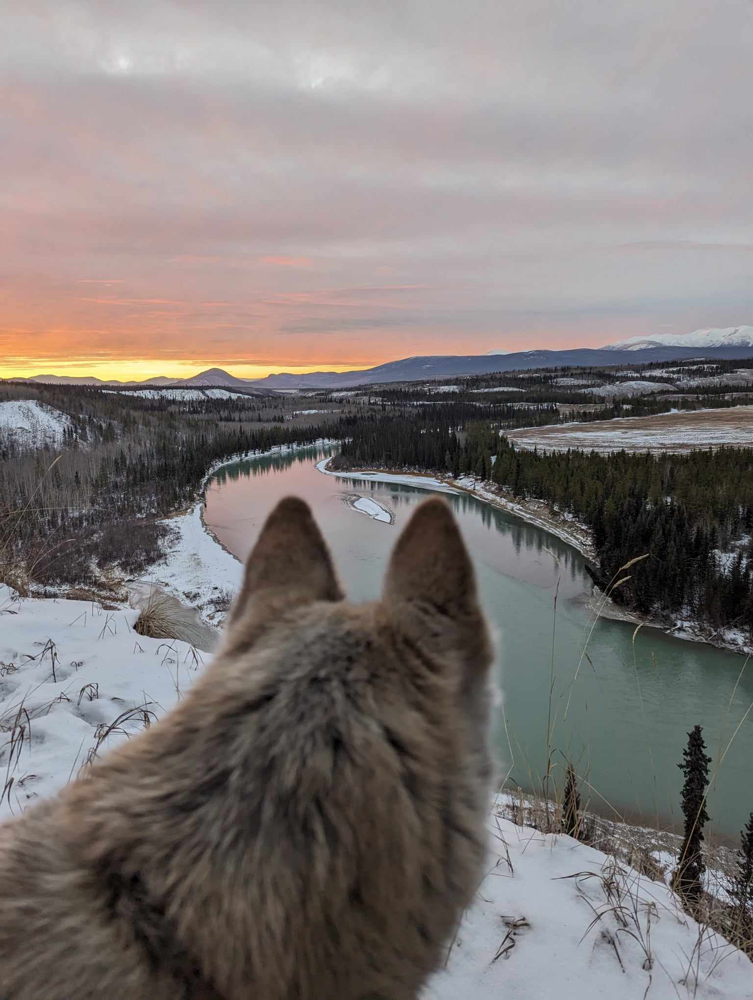 Northern Lights and Huskies - Fall only!