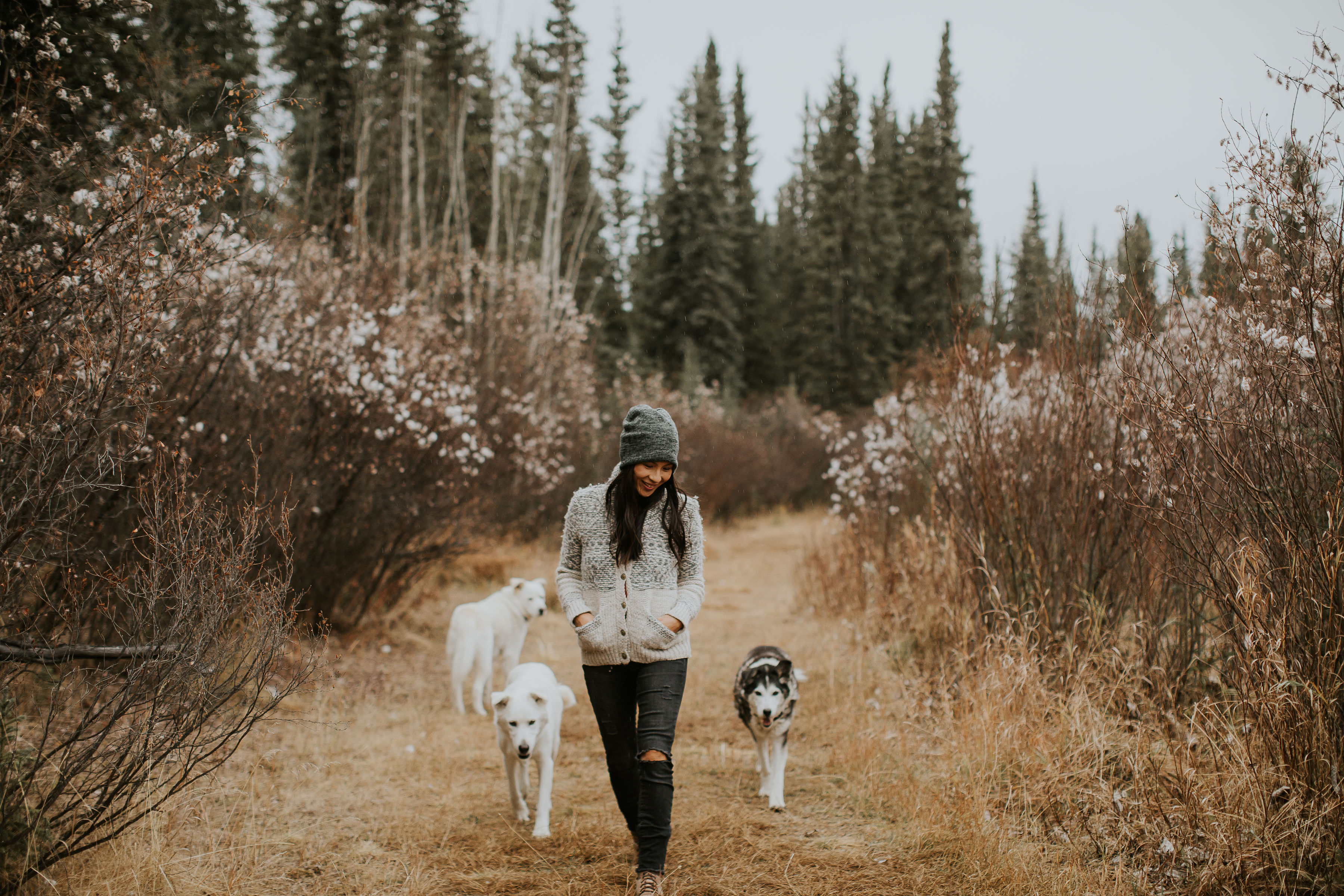 Northern Lights and Huskies - Fall only!