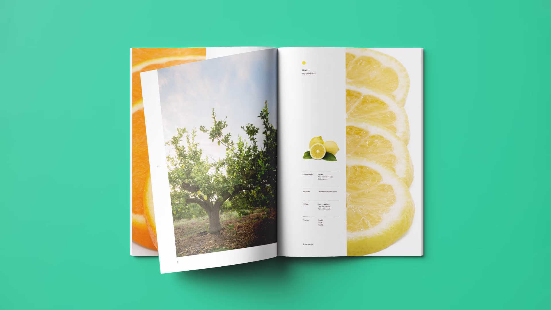 Imagen del diseño de catálogo para Frutas Beri