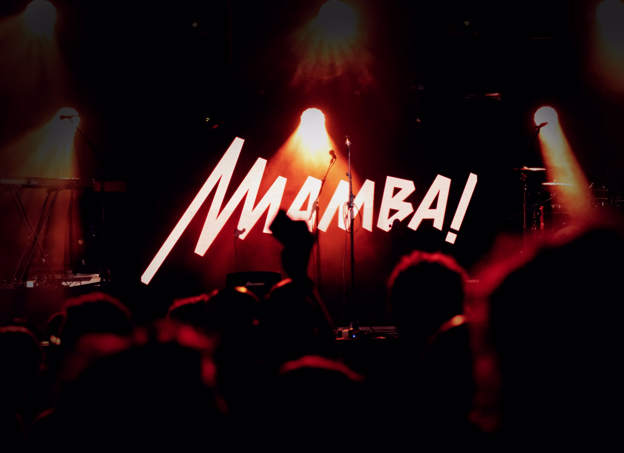 Imagen de la sala Mamba!