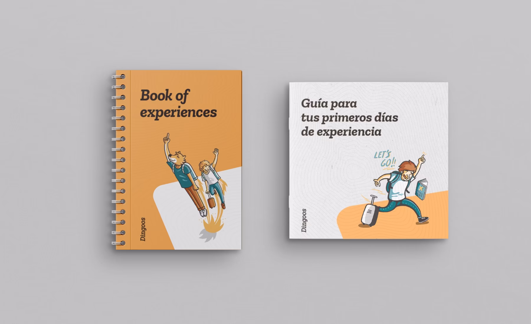 Diseño de la guía y el libro de experiencias