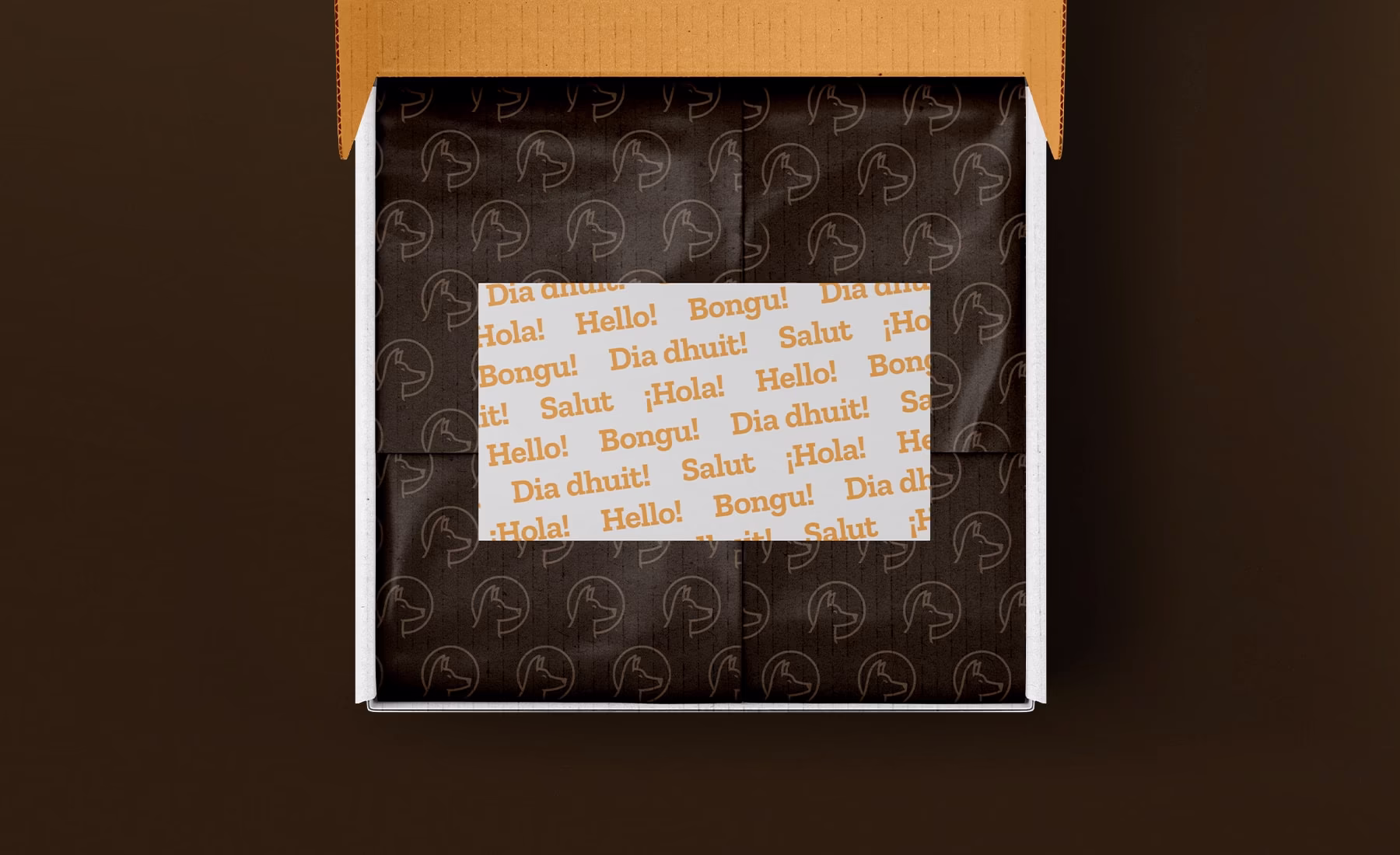 Imagen del packaging de bienvenida