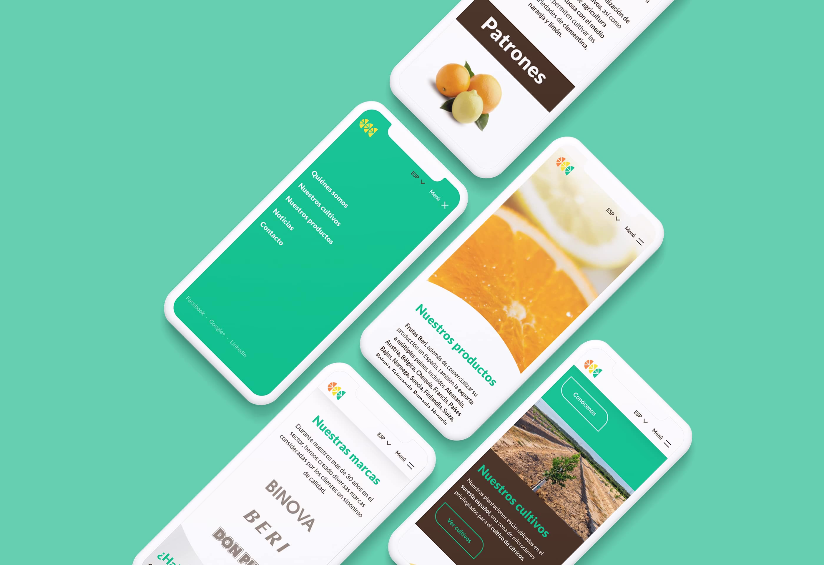 Diseño de diferentes páginas de la web en su versión mobile