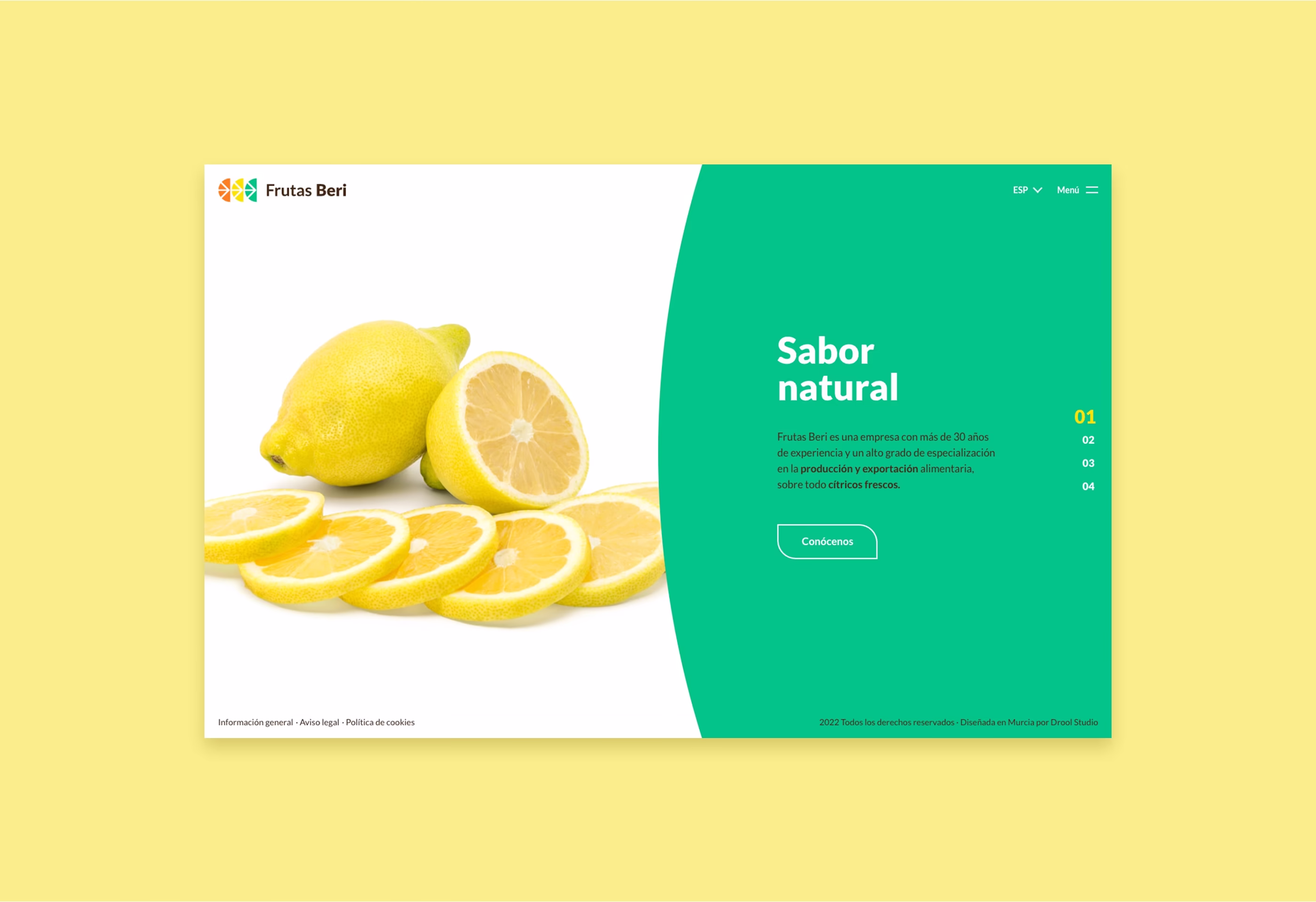 Diseño de la página de inicio de la web corporativa