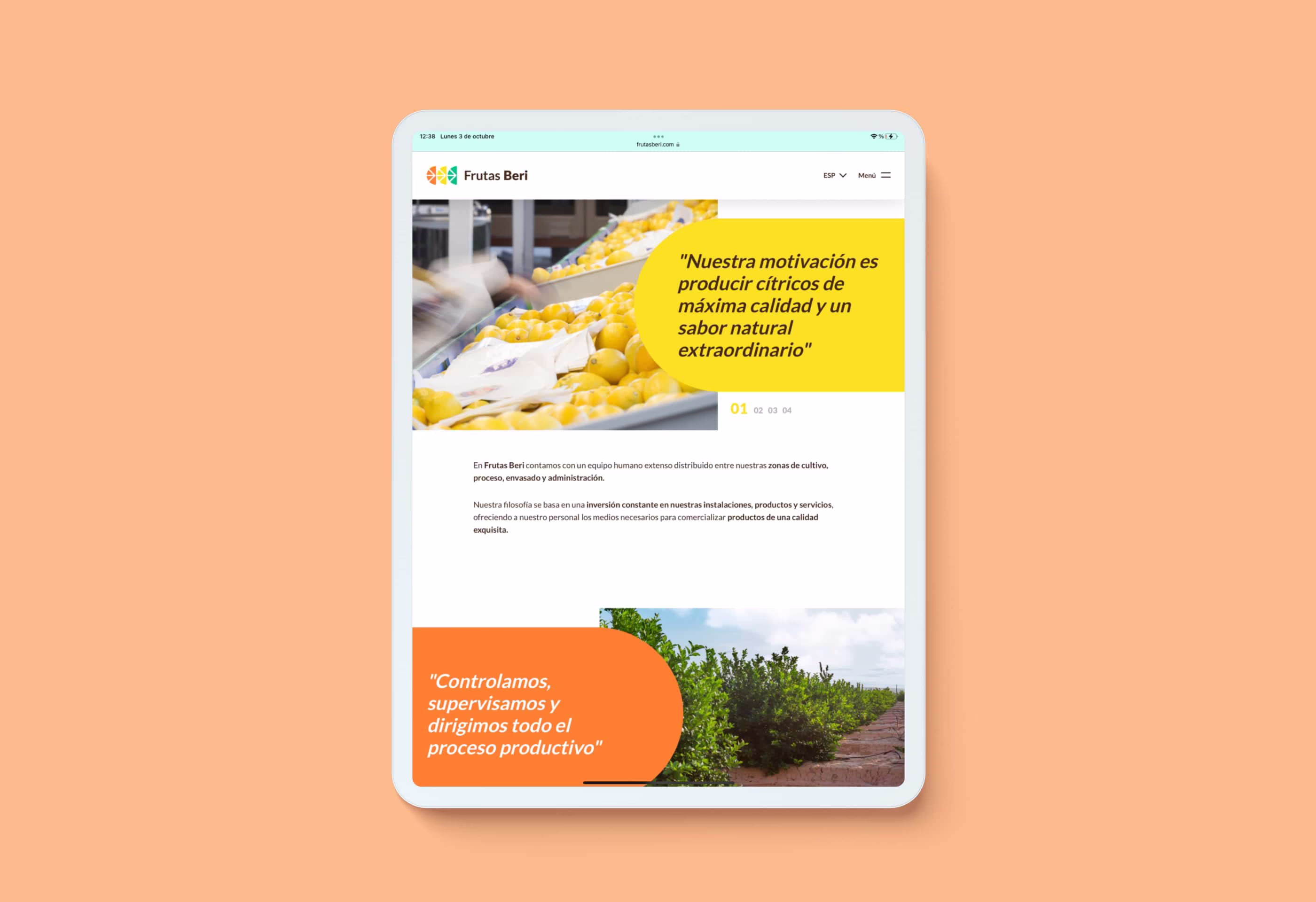 Diseño web responsive versión tablet