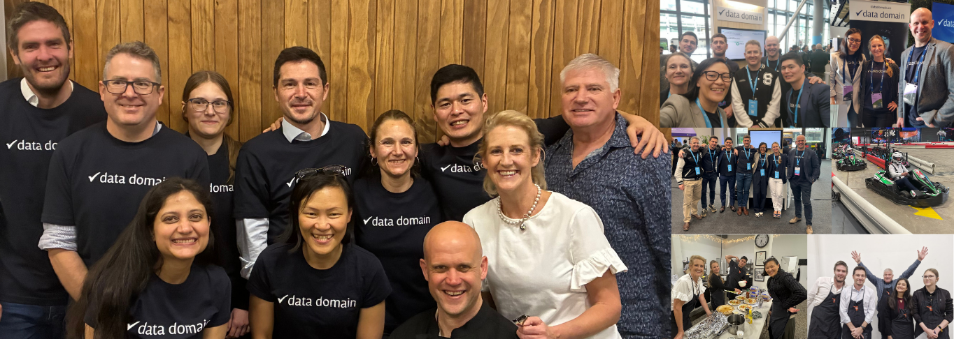 Data Domain team collaborating on a data and AI project