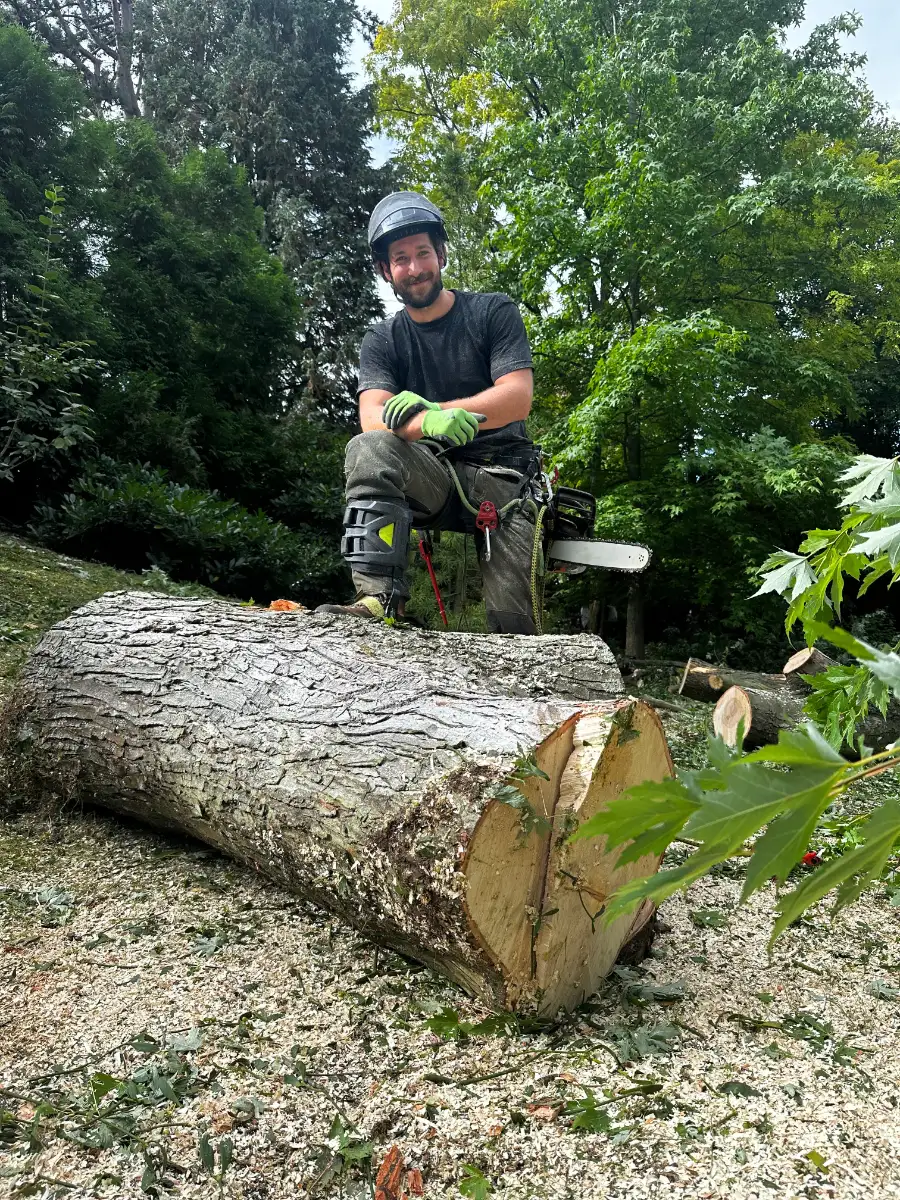 Ein Baumkletterer steht auf einem großen Stück Stammholz nach der Fällung