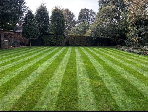 Lawn cut by Thorpes Lawns