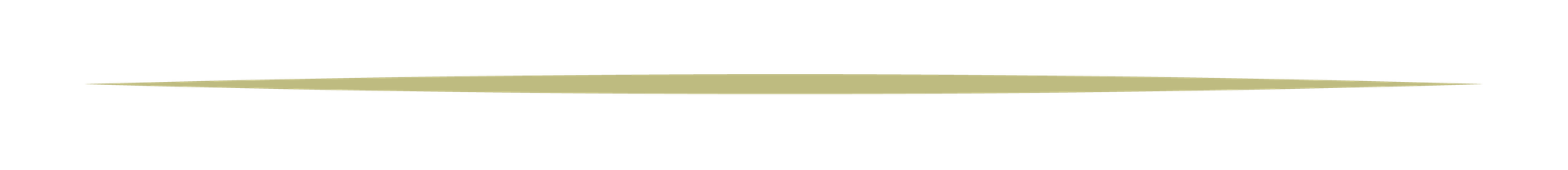 Section separator graphic