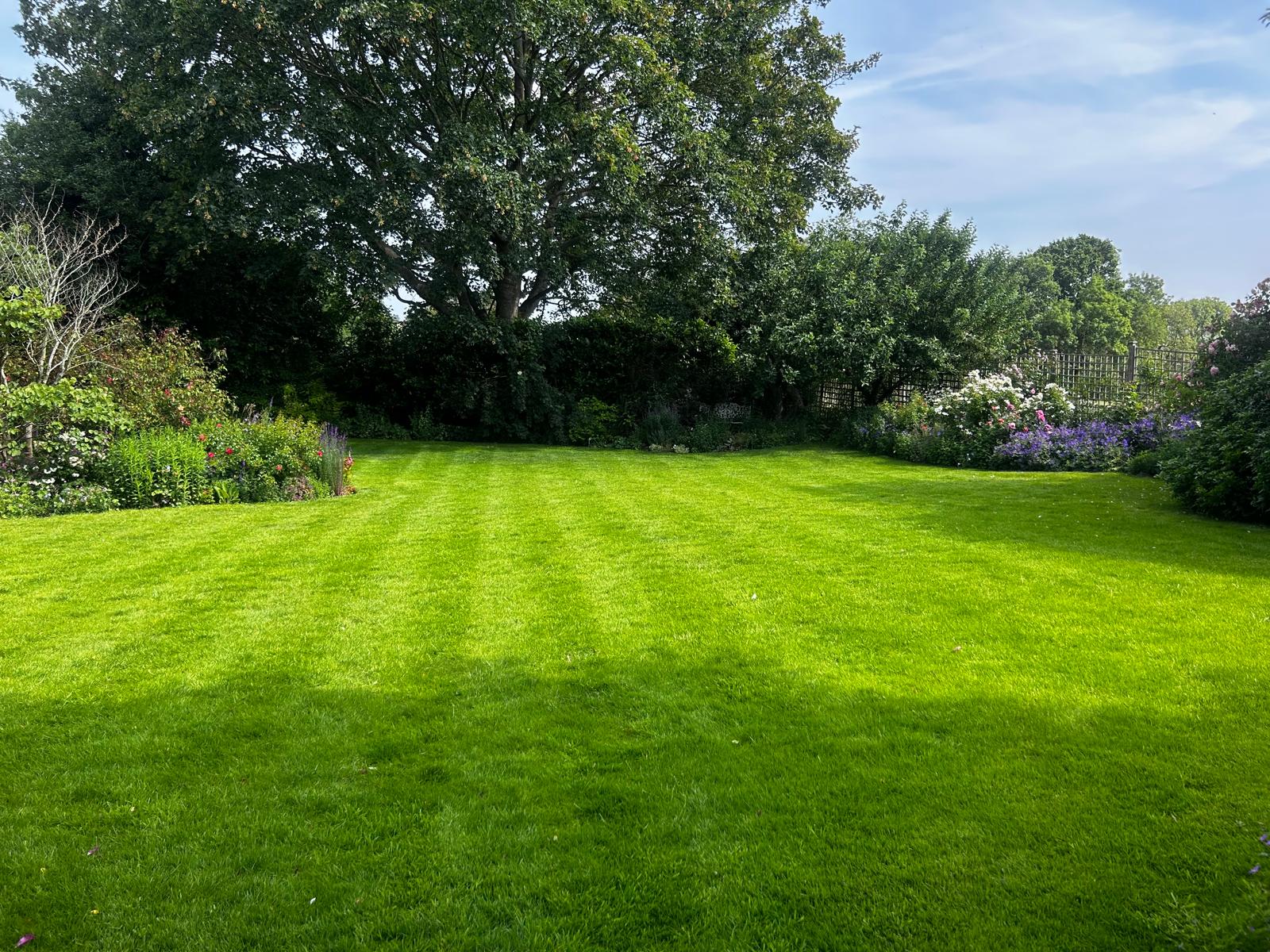Lawn cut by Thorpes Lawns