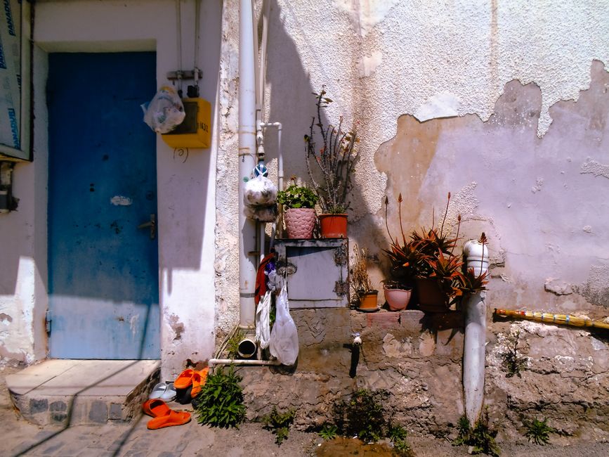 Charming outdoor scene of a blue door and rustic wall with potted plants in Baku, Azerbaijan.