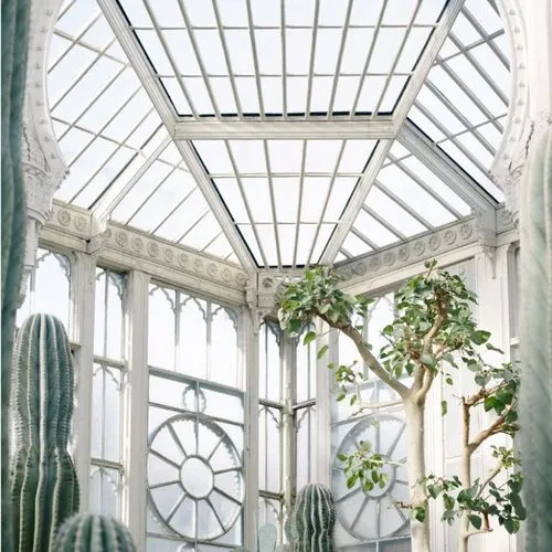 Designing for Wellness: Creating Healthy Indoor Environments