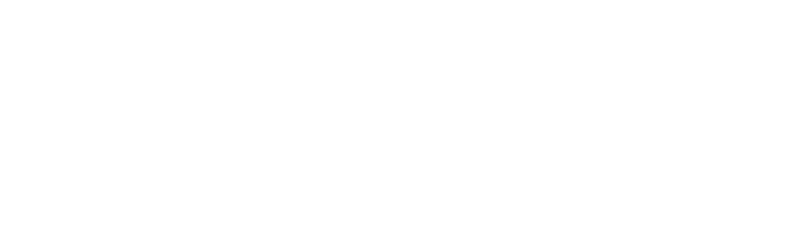 Ingenico